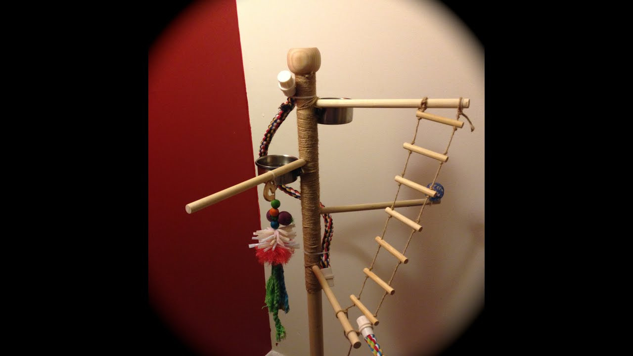 Best ideas about DIY Bird Stand
. Save or Pin DIY Bird Play Stand for $50 Now.