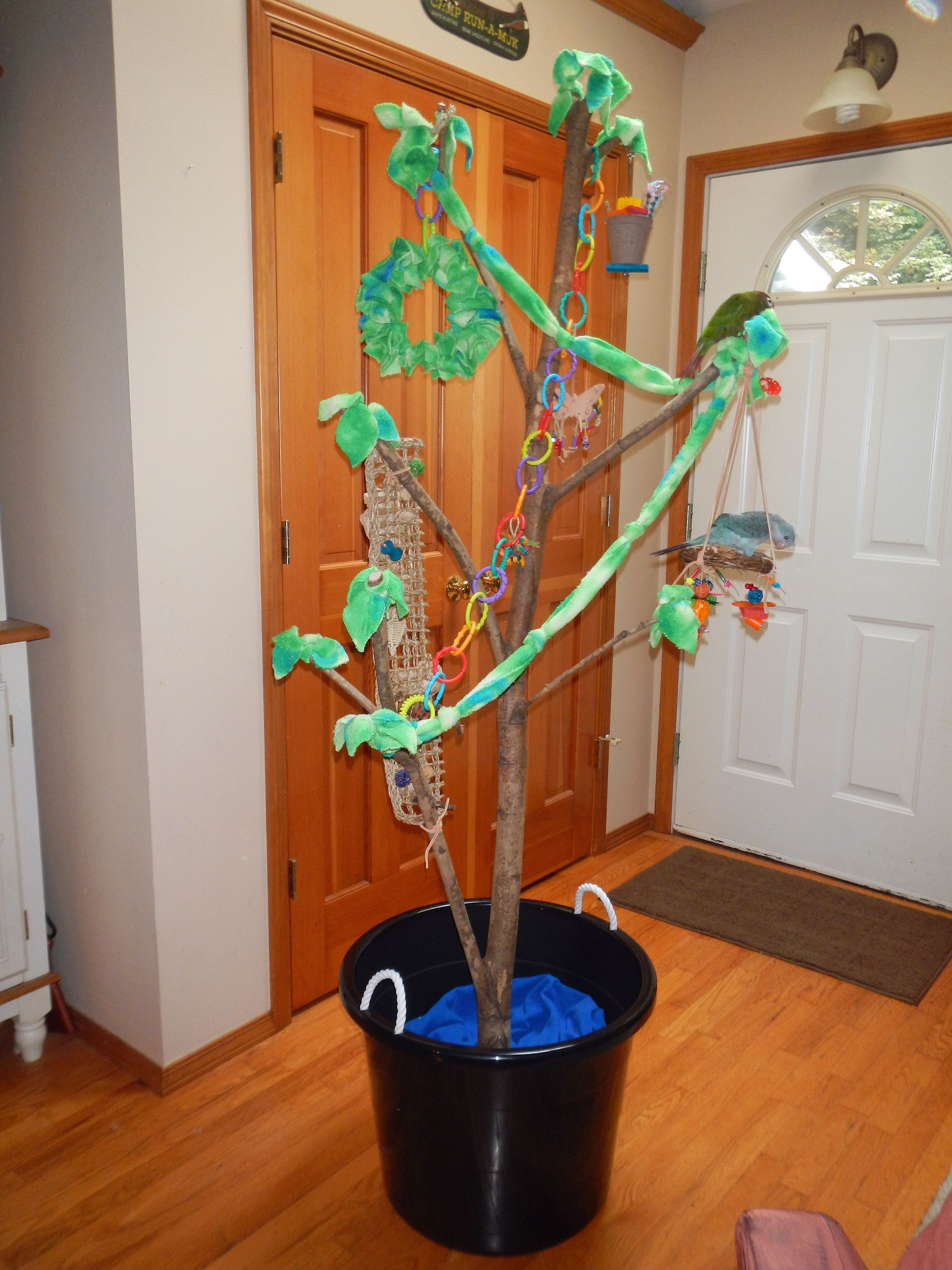 Best ideas about DIY Bird Stand
. Save or Pin DIY Parrot Play & Forage Tree Great for stimulating Now.
