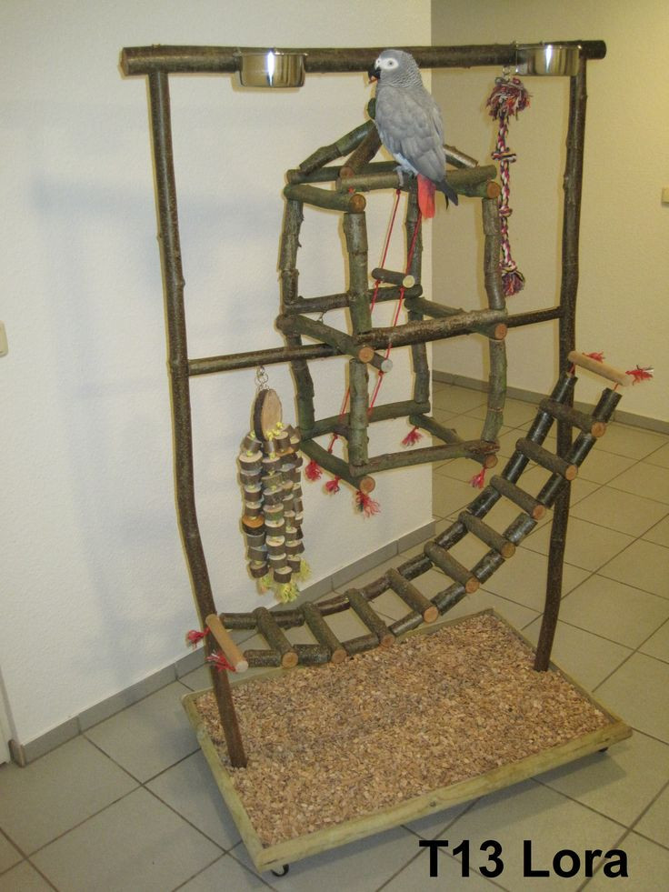 Best ideas about DIY Bird Stand
. Save or Pin 82 best images about DIY Bird Stands & Play Gyms on Now.