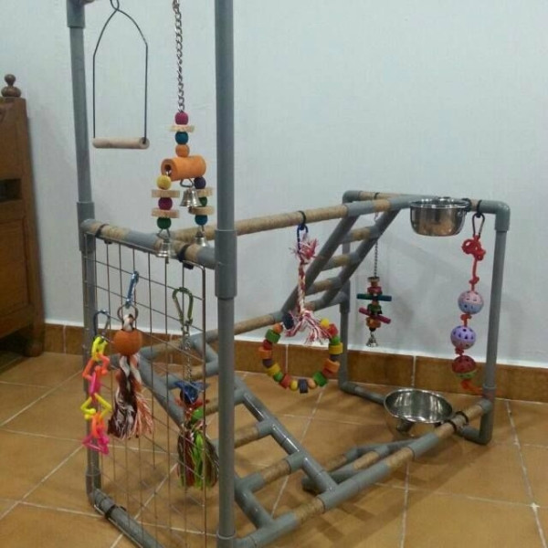 Best ideas about DIY Bird Stand
. Save or Pin PVC playgym stand Now.