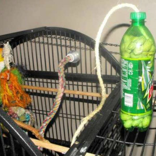 Best ideas about DIY Bird Toy
. Save or Pin Best 87 Free & DIY Bird Toys images on Pinterest Now.