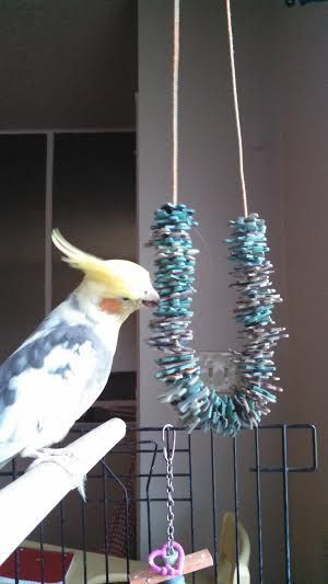 Best ideas about DIY Bird Toy
. Save or Pin Best 25 Parrot toys ideas on Pinterest Now.