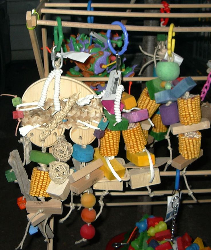 Best ideas about DIY Bird Toy
. Save or Pin 169 best images about DIY BIRD TOYS & PLAYGYMS on Now.