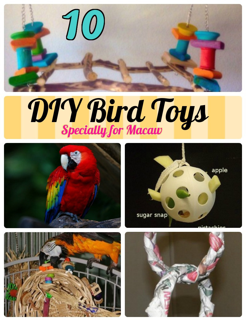 Best ideas about DIY Bird Toy
. Save or Pin 10 Most Simplest Ideas of DIY Toys for Macaws Now.