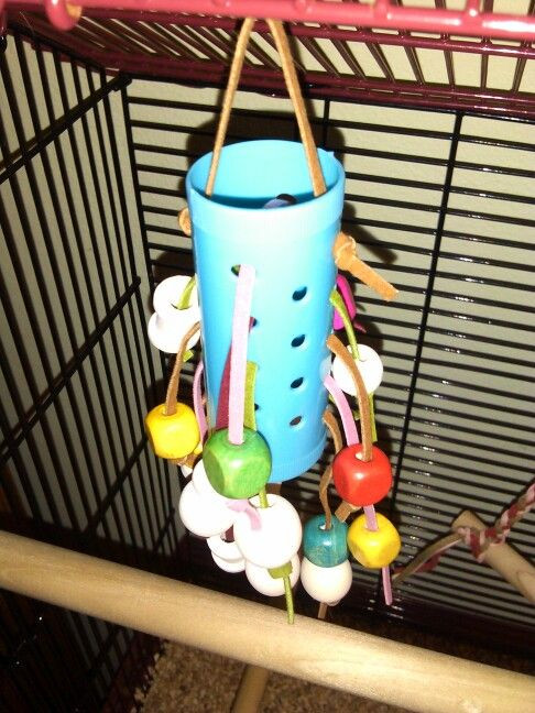 Best ideas about DIY Bird Toy
. Save or Pin 25 best ideas about Hair roller on Pinterest Now.