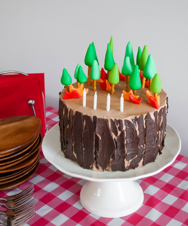 Best ideas about DIY Birthday Cake
. Save or Pin Easy DIY Planes Fire & Rescue Birthday Cake with Forest Now.