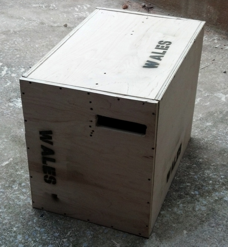 Best ideas about DIY Box Jump
. Save or Pin Home made Box for Jumps No need to order an expensive Now.
