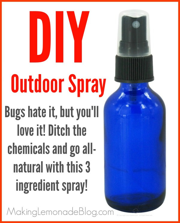 Best ideas about DIY Bug Repellent
. Save or Pin Homemade Outdoor & Camping Spray Bugs HATE It  Now.