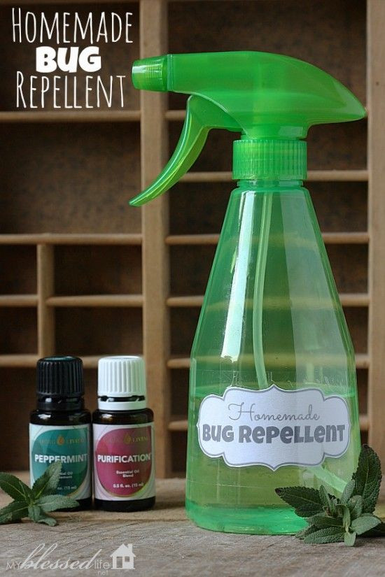 Best ideas about DIY Bug Repellent
. Save or Pin Homemade Bug Repellent Plastic spray bottle 8 oz distilled Now.