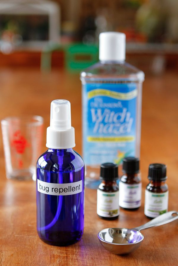 Best ideas about DIY Bug Repellent
. Save or Pin Homemade Bug Repellent Recipe Now.