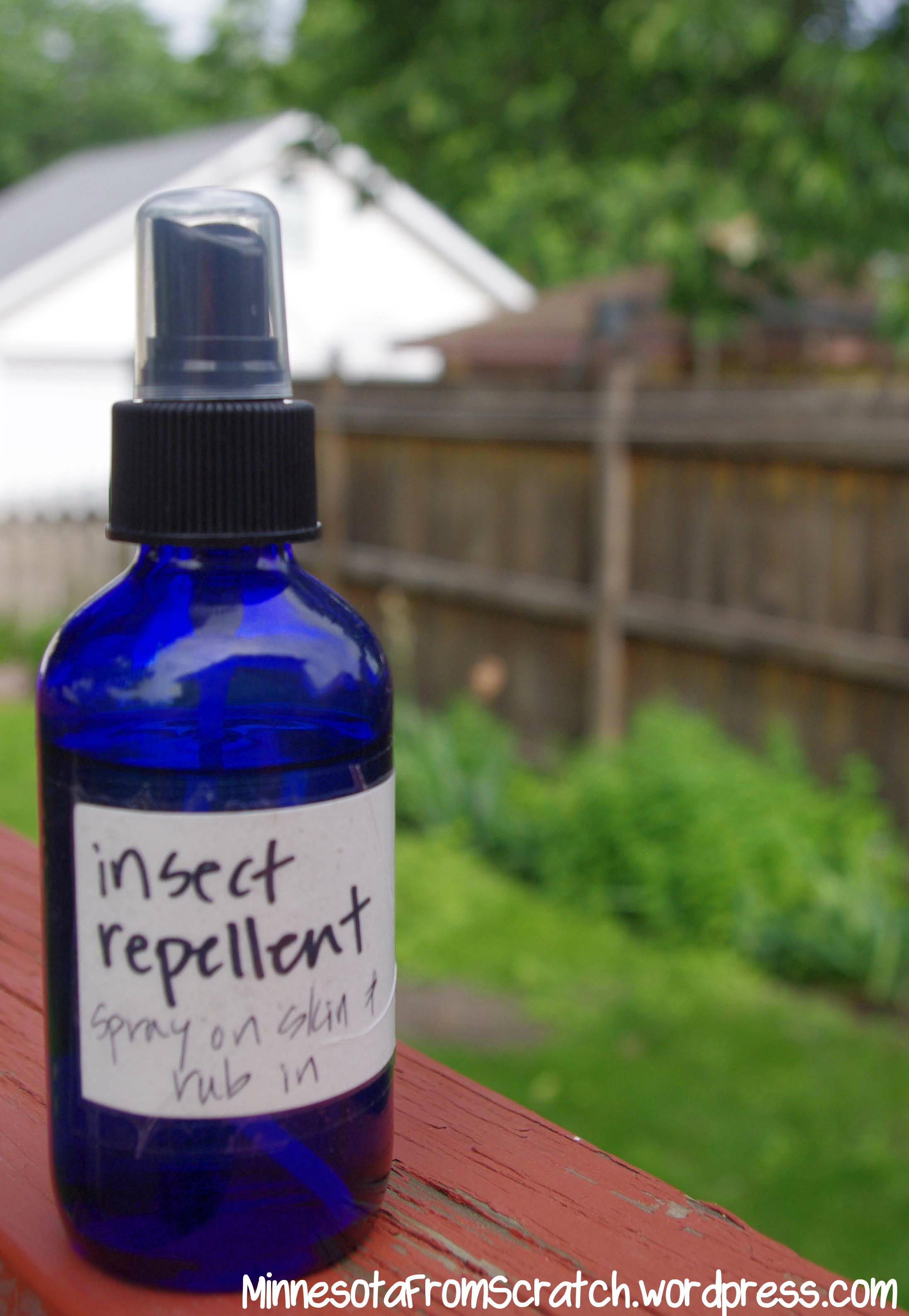 Best ideas about DIY Bug Repellent
. Save or Pin natural insect repellant Now.