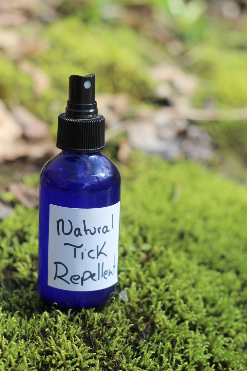 Best ideas about DIY Bug Repellent
. Save or Pin 7 Effective Natural Tick Repellents You Can Make at Home Now.