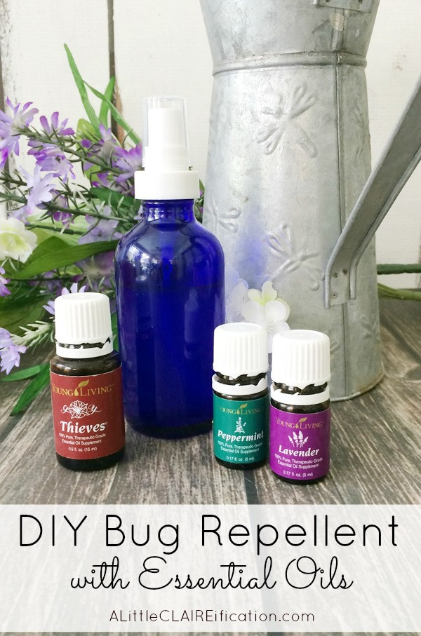 Best ideas about DIY Bug Spray
. Save or Pin How To Make Your Own Bug Spray Now.