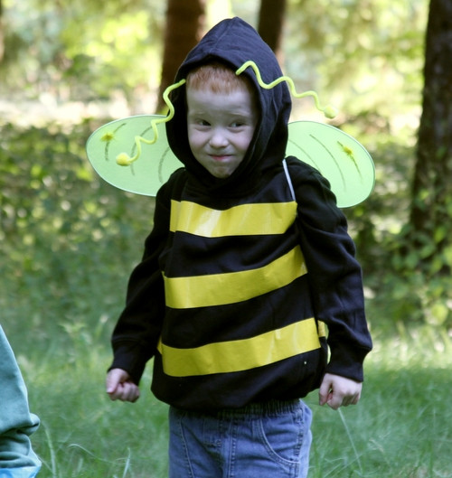 Best ideas about DIY Bumble Bee Costume
. Save or Pin Make a No Sew Bumblebee Costume Dollar Store Crafts Now.