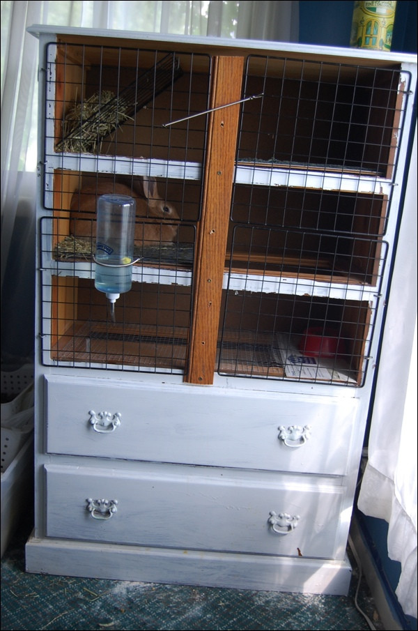 Best ideas about DIY Bunny Cage
. Save or Pin 10 DIY Rabbit Cages And Hutches For Your Fluffy Friends Now.