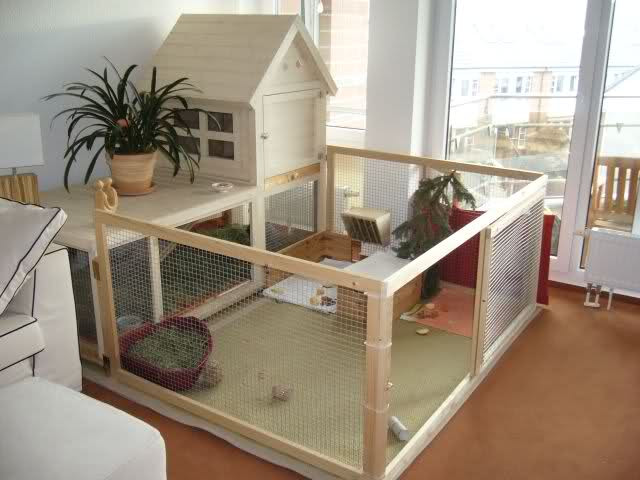 Best ideas about DIY Bunny Cage
. Save or Pin Indoor Rabbit Housing Bunny Approved House Rabbit Toys Now.