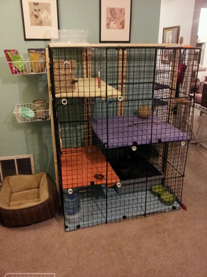 Best ideas about DIY Bunny Cage
. Save or Pin Diy Indoor Rabbit Cages Rabbit cage cubes diy condo Now.