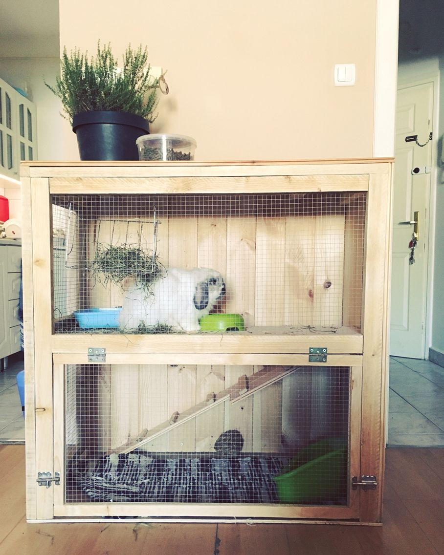 Best ideas about DIY Bunny Cage
. Save or Pin All Carpentry Tools Our beloved critters Now.