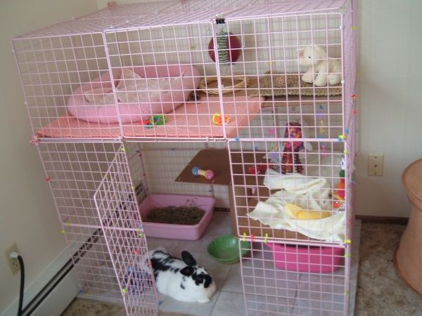 Best ideas about DIY Bunny Cage
. Save or Pin Diy Rabbit Hutch Cage WoodWorking Projects & Plans Now.