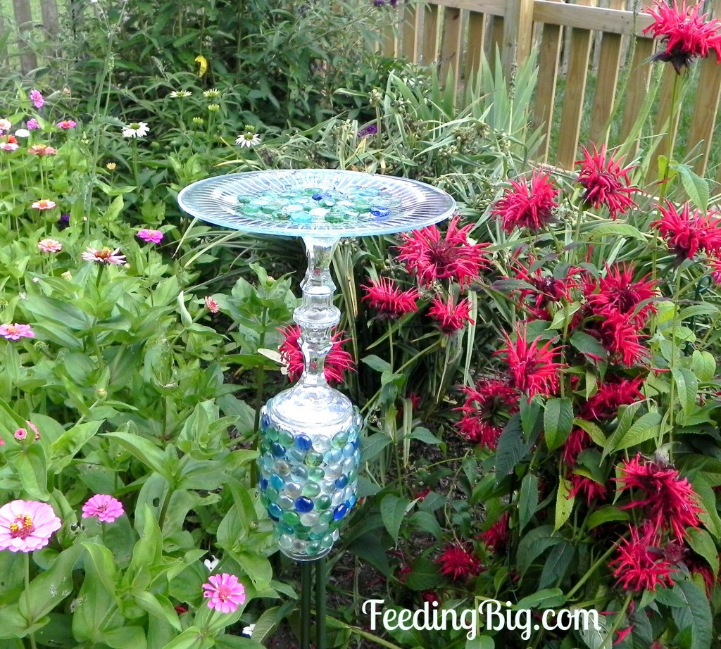 Best ideas about DIY Butterfly Feeder
. Save or Pin Craftionary Now.