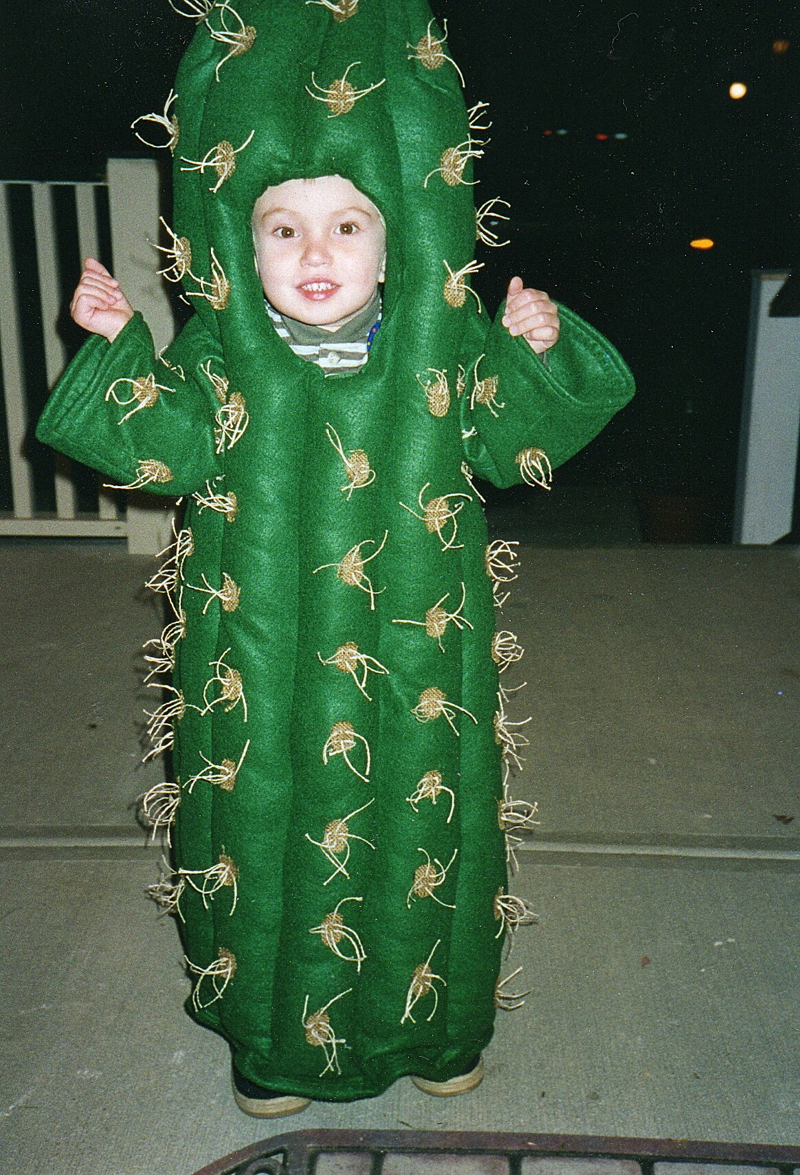 Best ideas about DIY Cactus Costume
. Save or Pin BERNINA Halloween 2011 Cactus – Sewing Projects Now.