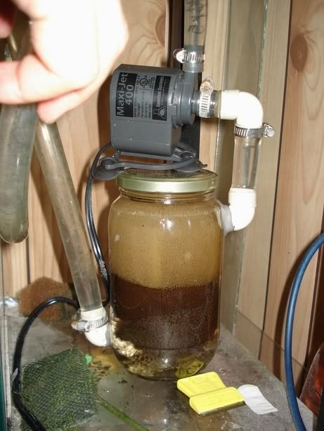 Best ideas about DIY Canister Filter
. Save or Pin My version of a diy canister filter The Planted Tank Forum Now.