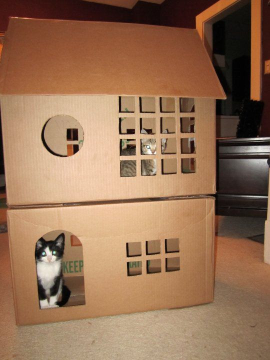 Best ideas about DIY Cardboard Cat House
. Save or Pin 1000 images about cardbord box fun on Pinterest Now.