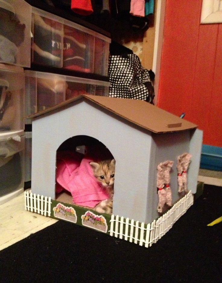 Best ideas about DIY Cardboard Cat House
. Save or Pin 60 best Cat grooming images on Pinterest Now.