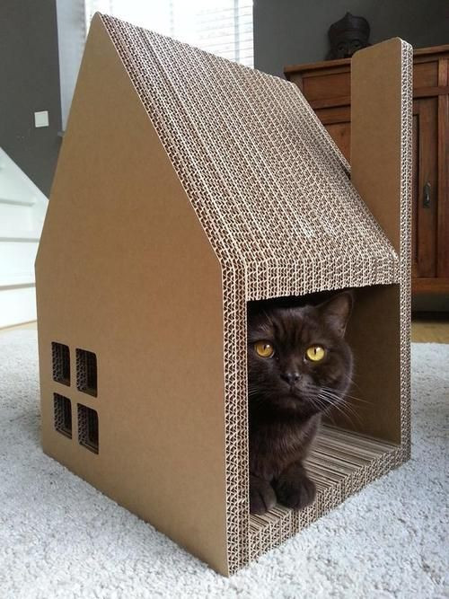 Best ideas about DIY Cardboard Cat House
. Save or Pin Best 25 Cardboard cat house ideas on Pinterest Now.