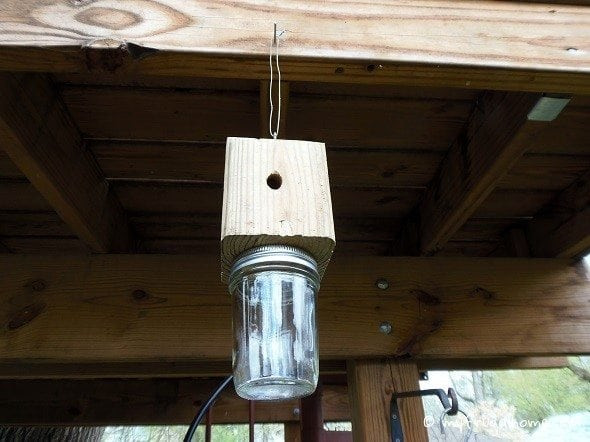 Best ideas about DIY Carpenter Bee Trap
. Save or Pin How to Build a Carpenter Bee Trap Now.