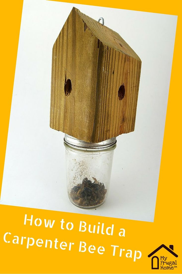 Best ideas about DIY Carpenter Bee Trap
. Save or Pin 9 best Frugal Pest Control images on Pinterest Now.