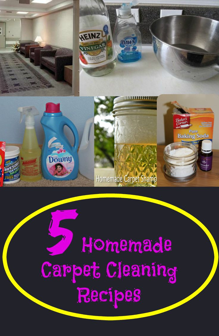 Best ideas about DIY Carpet Cleaner Solution
. Save or Pin Best 25 Homemade carpet shampoo ideas on Pinterest Now.