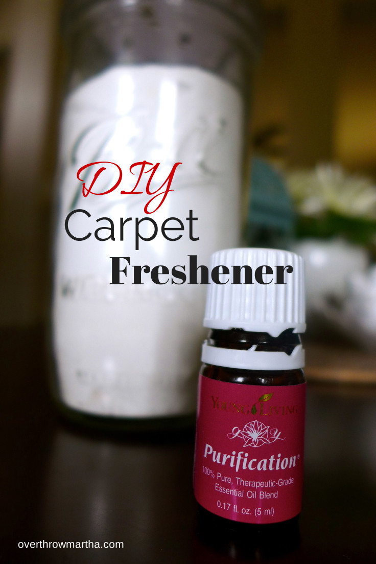 Best ideas about DIY Carpet Freshener
. Save or Pin Simple DIY Carpet Freshener and Deodorizer with Essential Now.