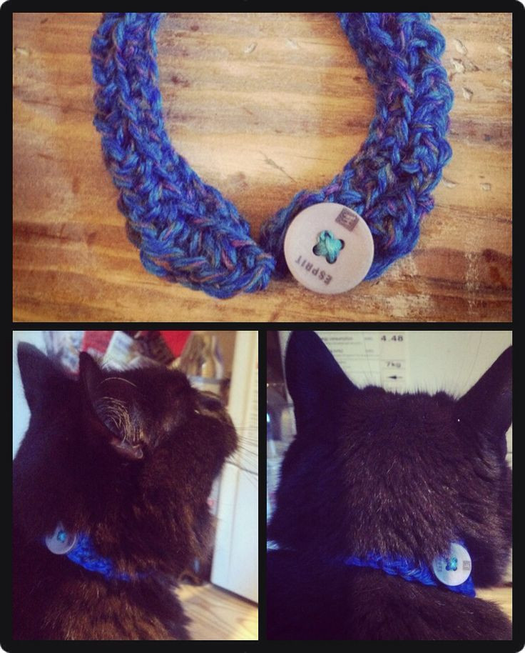 Best ideas about DIY Cat Collar
. Save or Pin 17 Best images about DIY pet collars and lanyards on Now.