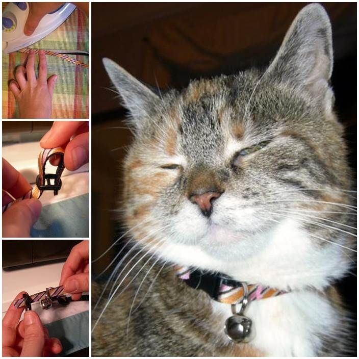 Best ideas about DIY Cat Collar
. Save or Pin 1000 images about diy cat collar on Pinterest Now.