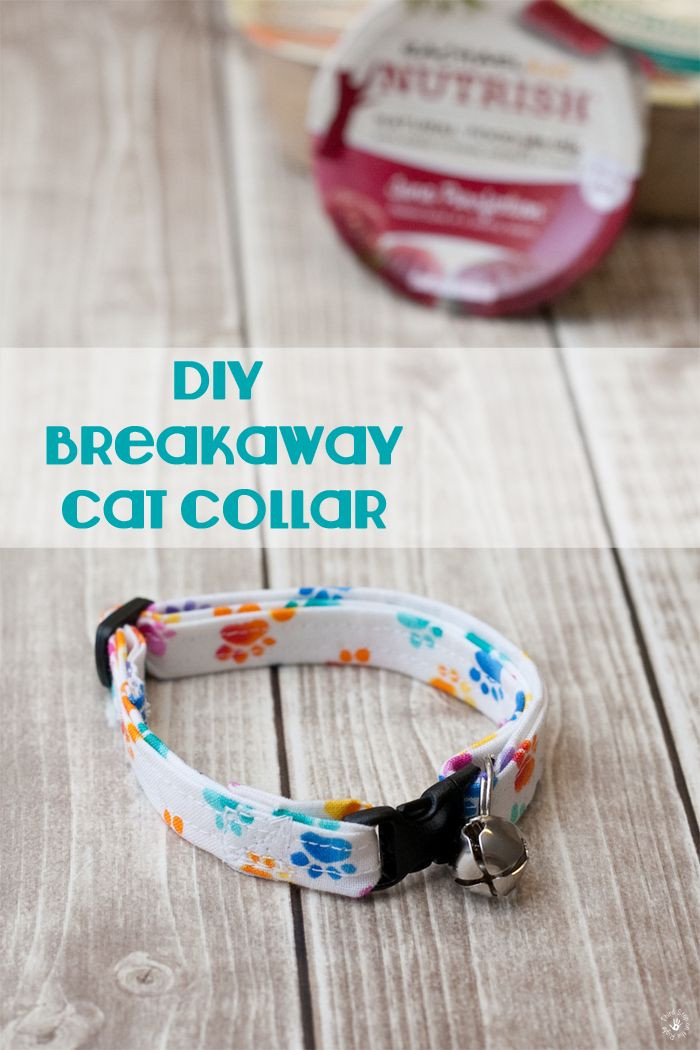 Best ideas about DIY Cat Collar
. Save or Pin How to Create a Homemade DIY Cat Collar Now.