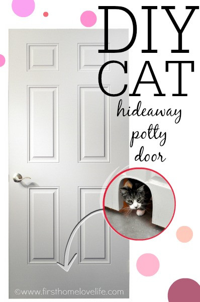 Best ideas about DIY Cat Door
. Save or Pin DIY Cat Potty Door First Home Love Life Now.