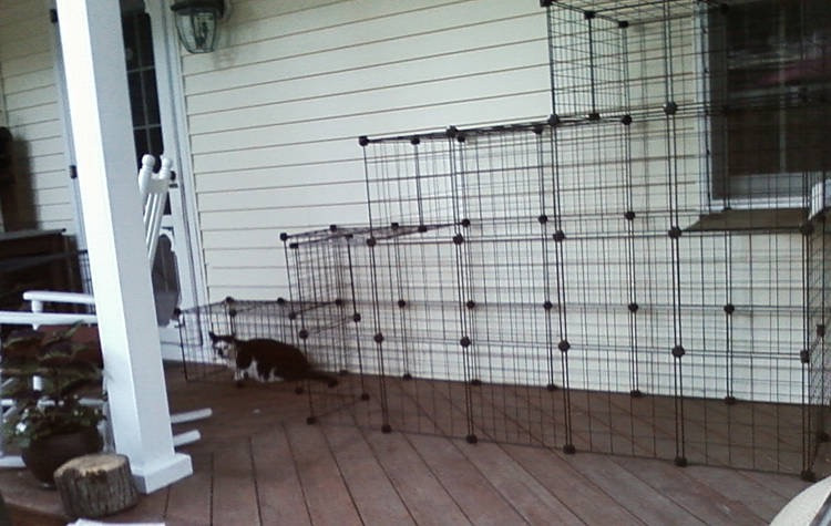 Best ideas about DIY Cat Enclosure
. Save or Pin How to build your own catio from Cat and Caboodle Now.