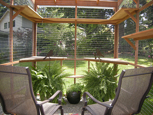 Best ideas about DIY Cat Enclosure Plans
. Save or Pin Catio Spaces unveils DIY plans for homes gardens to keep Now.