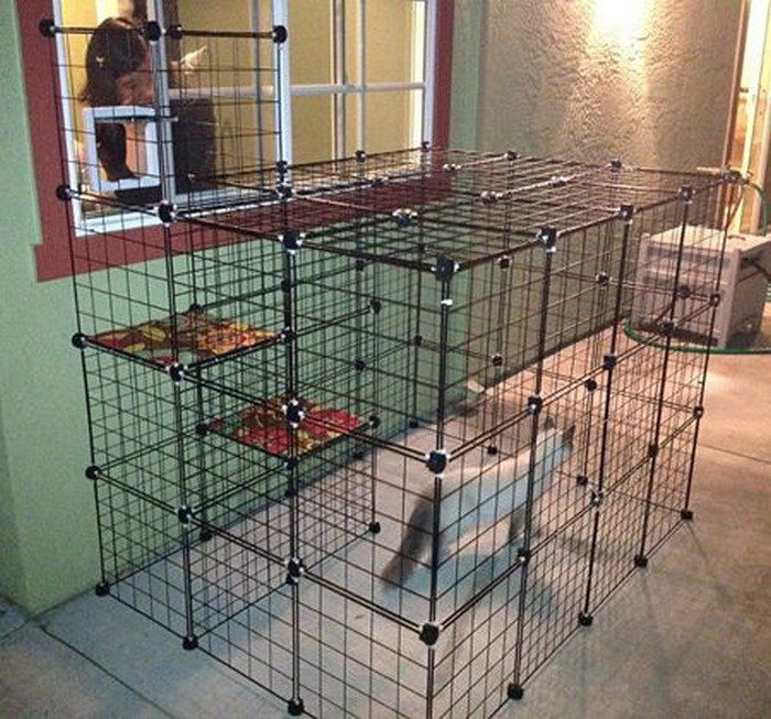 Best ideas about DIY Cat Enclosure
. Save or Pin How to build an outdoor cat run Now.