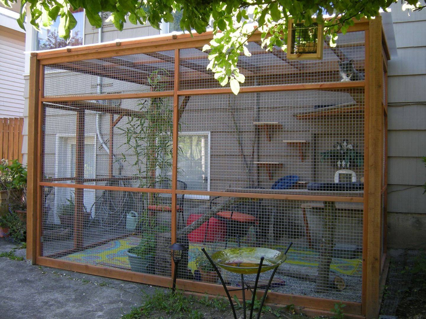 Best ideas about DIY Cat Enclosures
. Save or Pin Catios We build attractive catios and offer Catio Spaces Now.