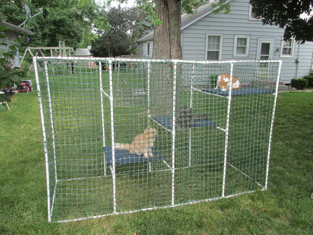 Best ideas about DIY Cat Enclosures
. Save or Pin Cat Enclosure 6 Steps with Now.