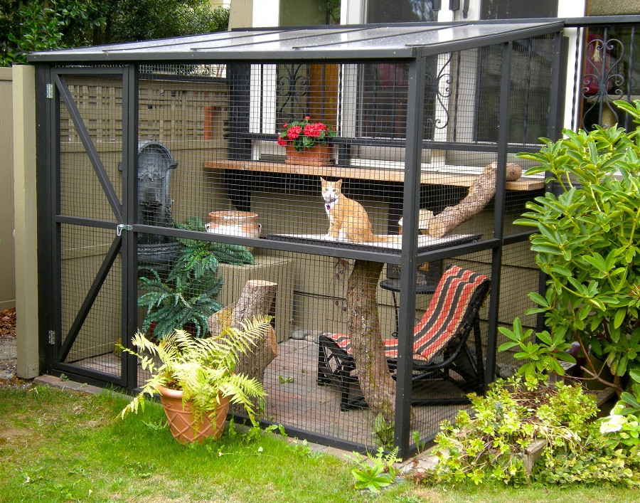 Best ideas about DIY Cat Enclosures
. Save or Pin DIY Projects Build Your Own Cat Enclosure Melsteel Now.