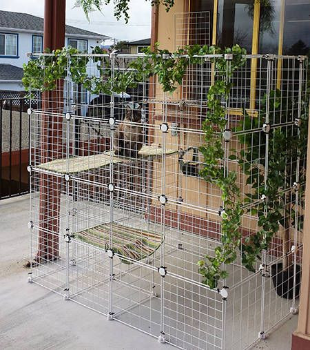 Best ideas about DIY Cat Enclosures
. Save or Pin How to build your own catio from Cat and Caboodle Now.