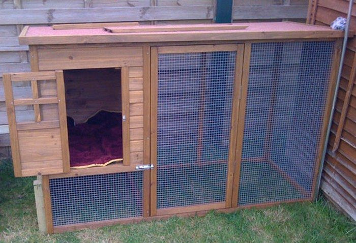 Best ideas about DIY Cat Enclosures
. Save or Pin How to build an outdoor cat run Now.