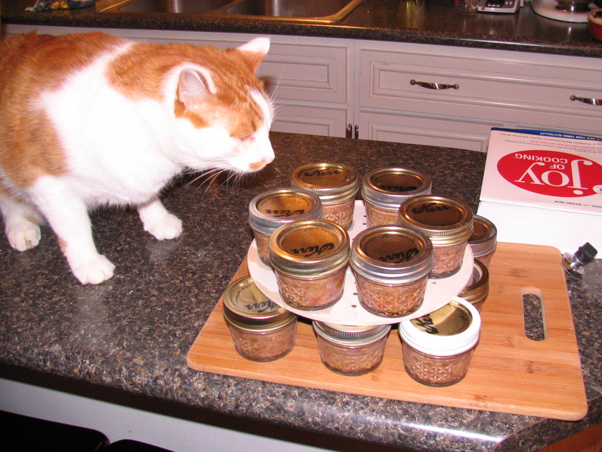 Best ideas about DIY Cat Food
. Save or Pin Homemade canned cat food Now.