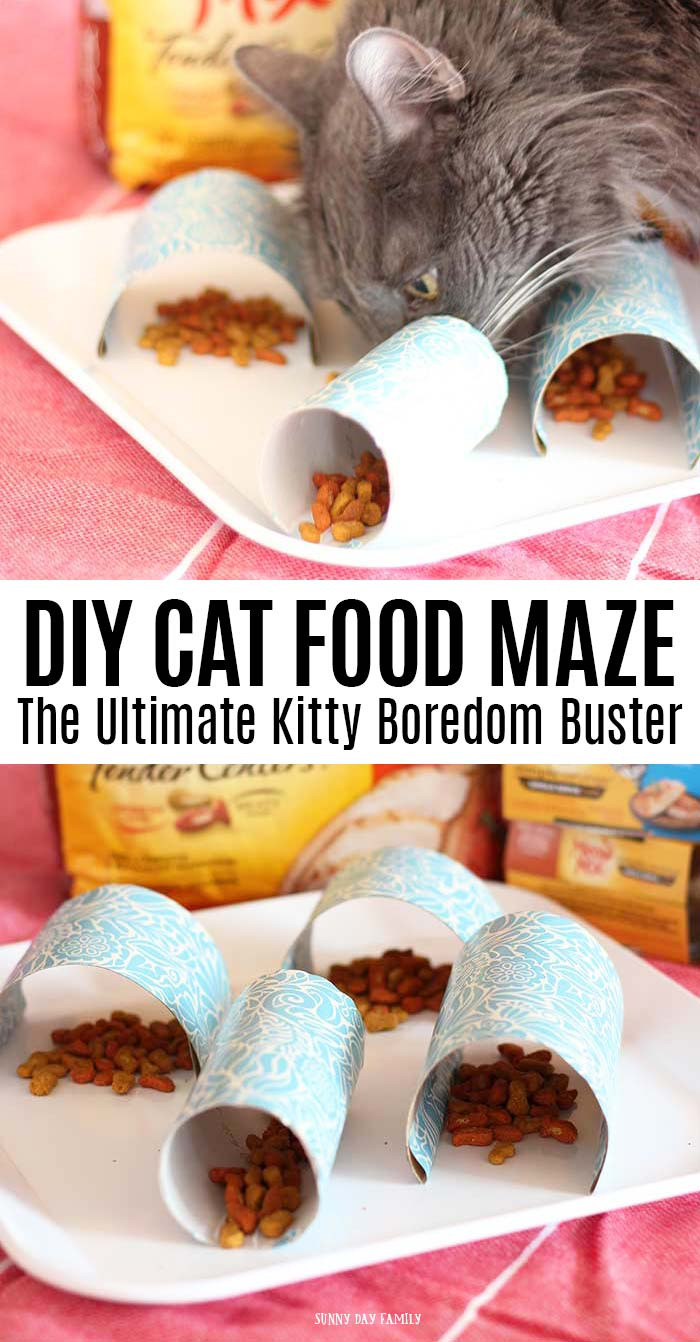 Best ideas about DIY Cat Food
. Save or Pin DIY Cat Food Maze for the Ultimate Kitty Boredom Buster Now.