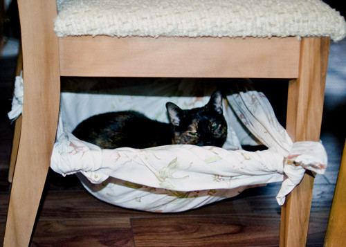 Best ideas about DIY Cat Hammock
. Save or Pin Free & Easy Cat Hammock Bed DIY Now.