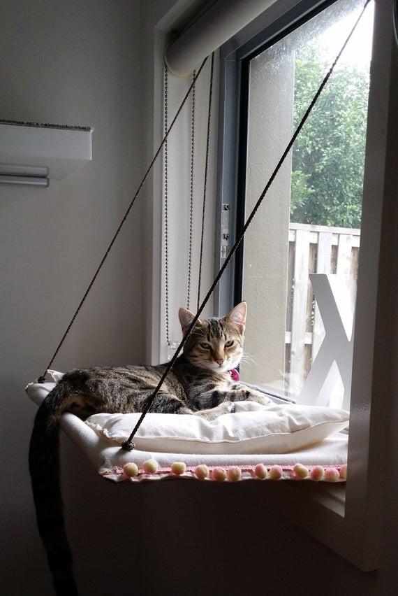 Best ideas about DIY Cat Hammocks
. Save or Pin Window cat hammock with cushion by jinstan on Etsy Now.