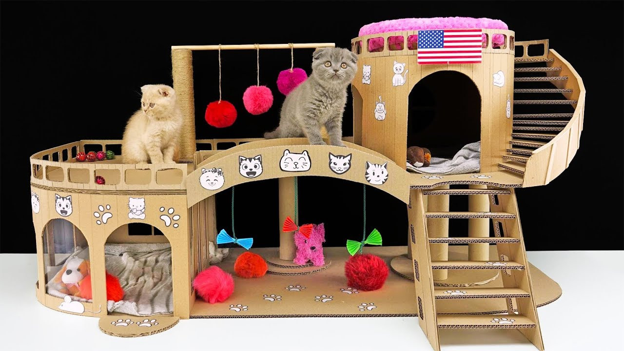 Best ideas about DIY Cat House
. Save or Pin DIY Amazing Cat House for Two Beautiful Kittens Now.